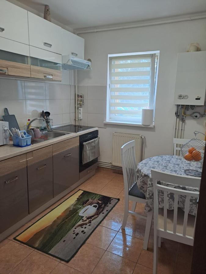 Garsoniera Bia Apartment Brasov Luaran gambar